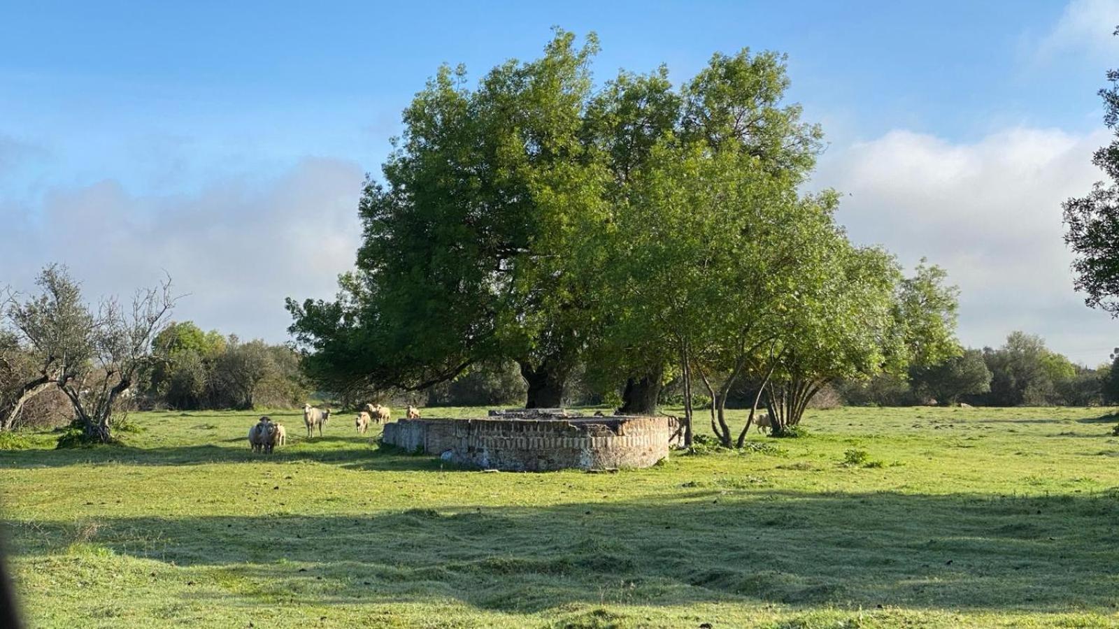 Quinta Da Amendoeira - - The Hotel