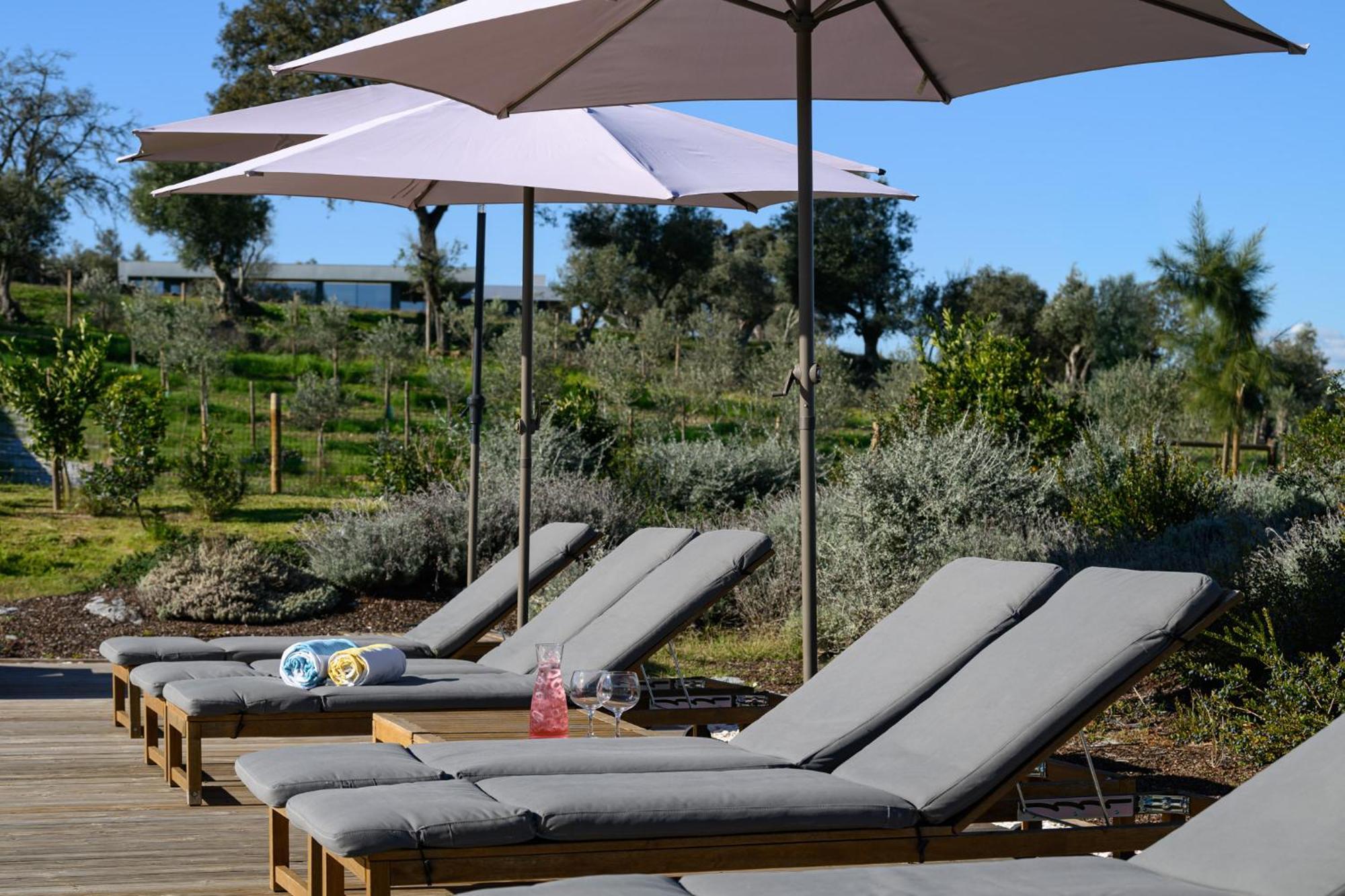 Quinta Da Amendoeira - - The *